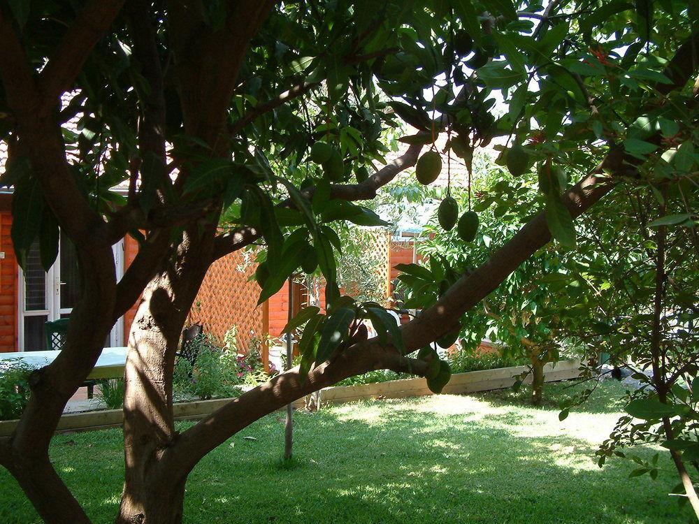 Invito Villa Rosh Pinna Exterior photo
